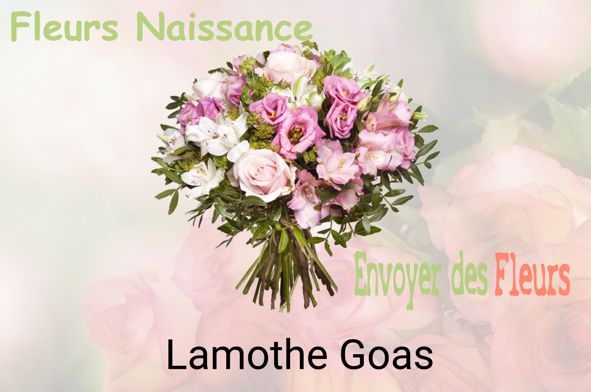 Bouquet de fleurs de naissance livré à Lamothe-Goas